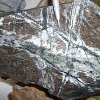 From 200 level Adit. Alteration, with chalcopyrite-bornite and quartz-magnetite-copper sulphide stockwork