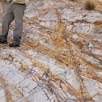 Weathered porphyry showing intense stockworks with stong limonites